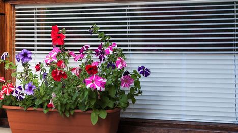 Sälekaihtimien vaihto Espoo, Kauniainen, Helsinki ja Vantaa – Kodin Pienet Remontit